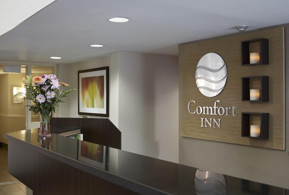 Comfort Inn Dryden Eksteriør billede