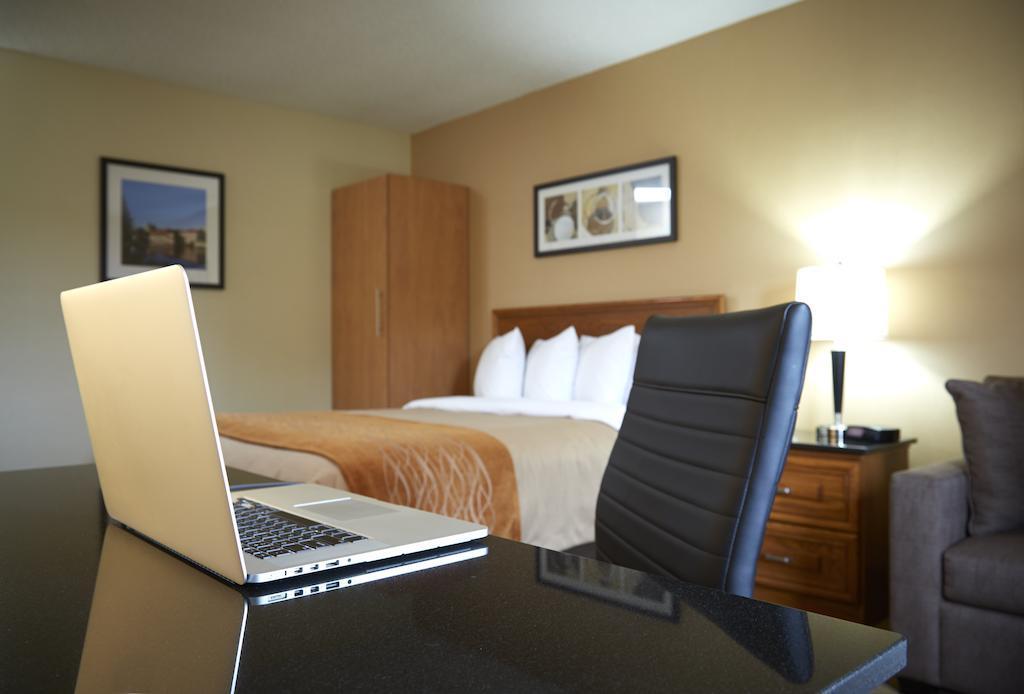 Comfort Inn Dryden Eksteriør billede