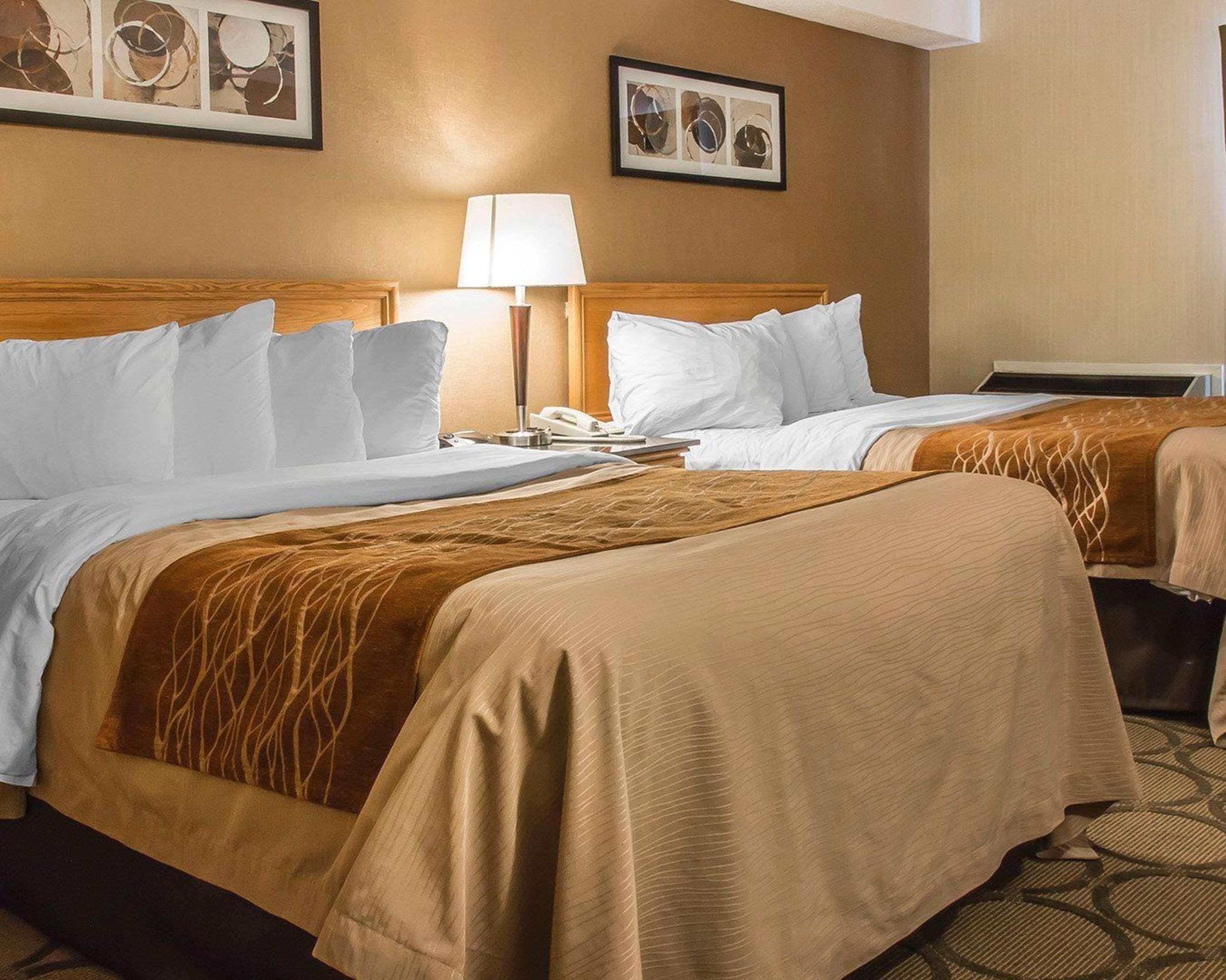 Comfort Inn Dryden Eksteriør billede